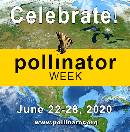 National Pollinator Week