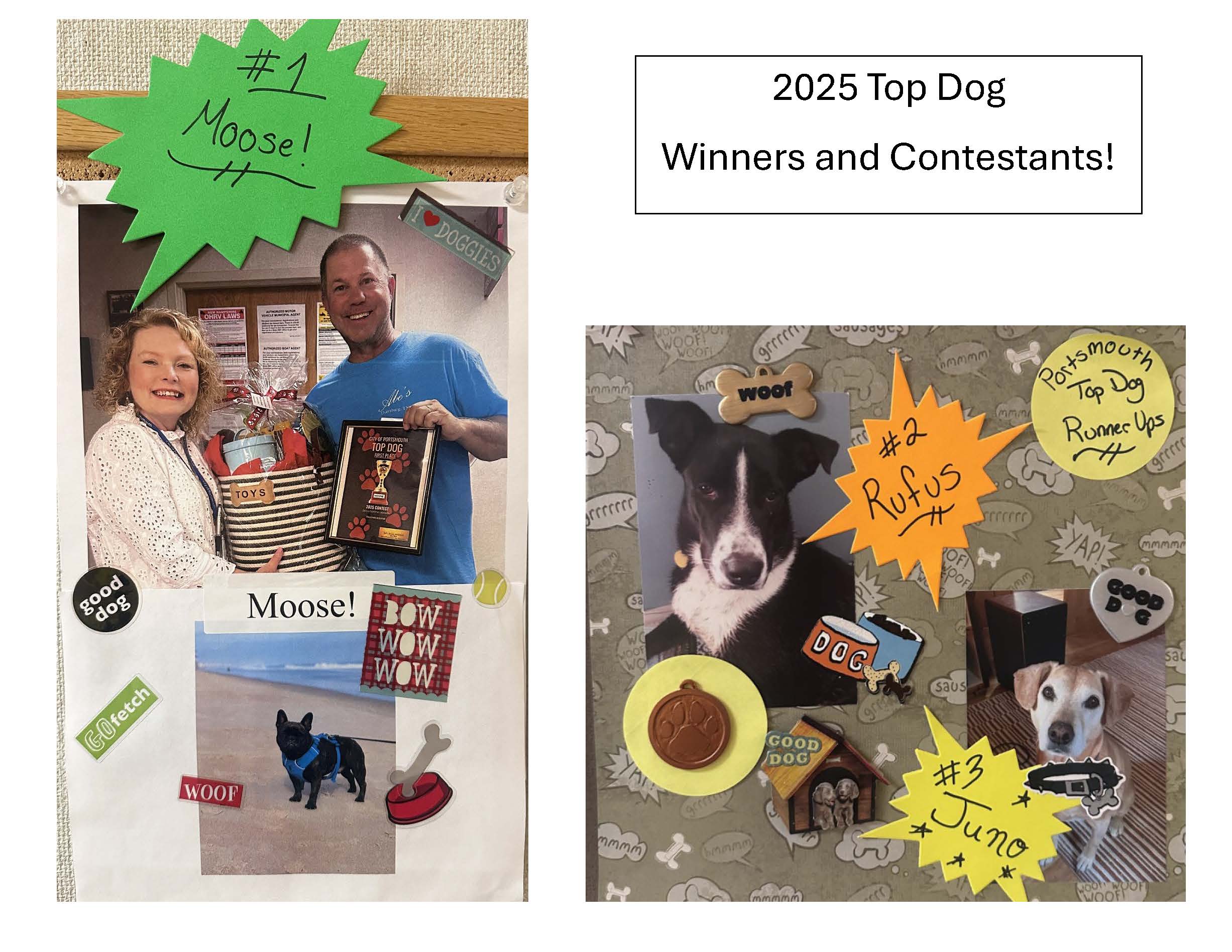 A collage of images of the 2025 Top Dog Winners including the City Clerk posing with the 2025 Top Dog's Owner