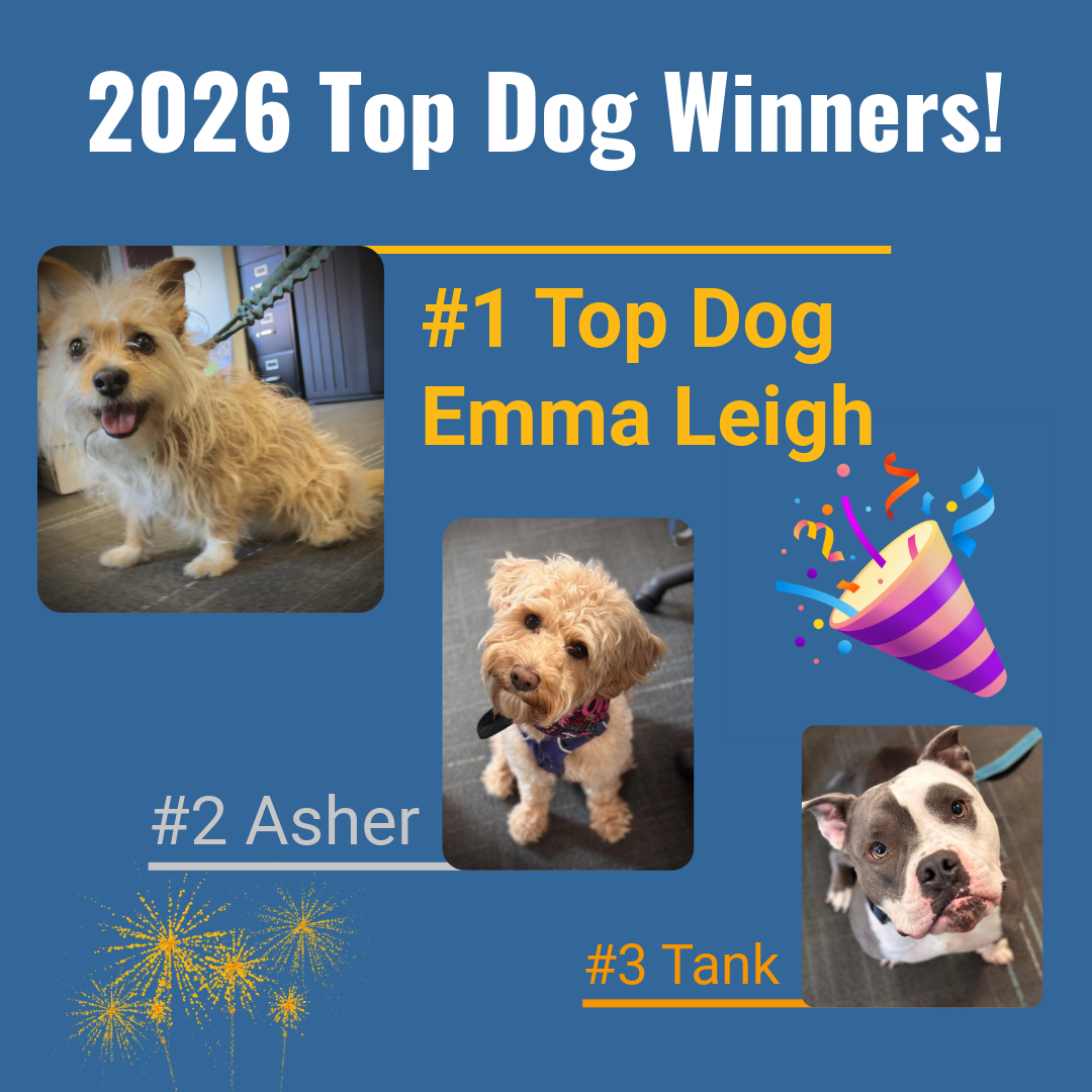 2026 Top Dog Winners - Emma Leigh, Asher and Tank