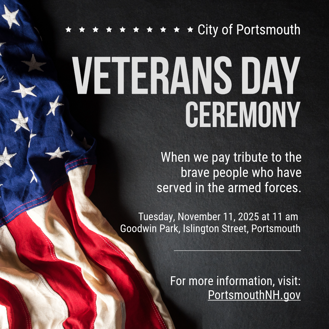 Veterans Day Ceremony Flyer