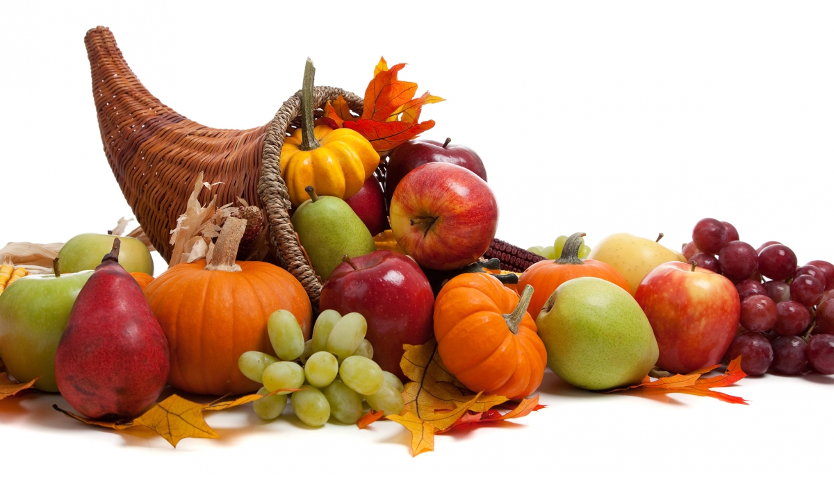 Cornucopia