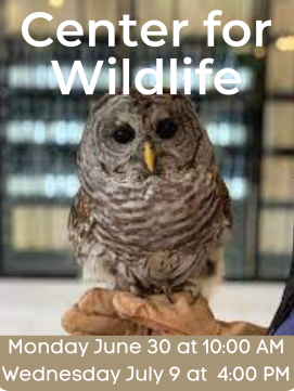 Center for Wildlife: Owls--Link to Online Calendar