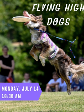 Flying High Dogs -- Link to Online Calendar