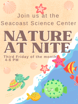 Nature at Nite link to seacoast science center event