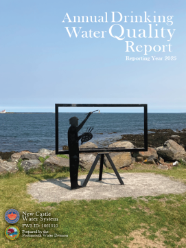 New Castle Water Quality Report