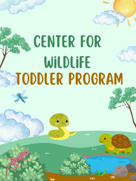 Center for Wildlife Toddler Program