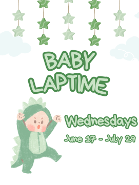 Lap Time flyer - link to details 