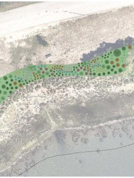 Planting plan showing Peirce Island