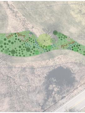 Planting plan showing 850 Banfield Road