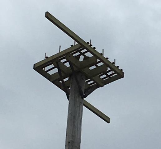 Bird platform