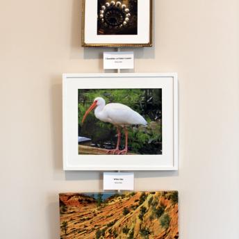 Photos on Levenson wall