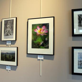 Photos on Levenson side wall