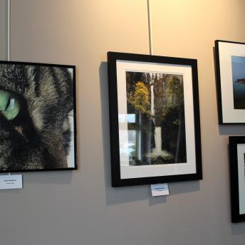 Photos on Levenson wall