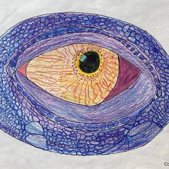 Brody B. Grade 7