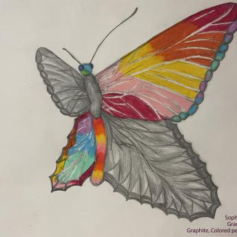 Sophie B. Grade 8