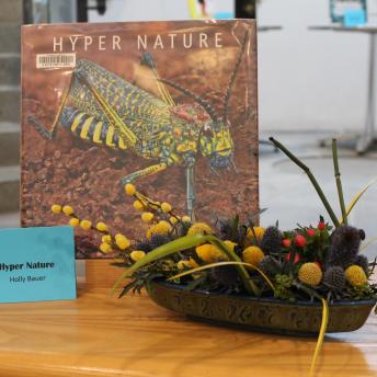 Hyper Nature by Holly Bauer