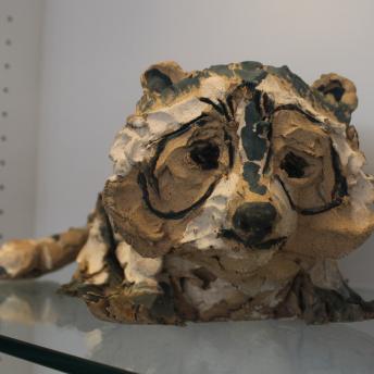 Raccoon
