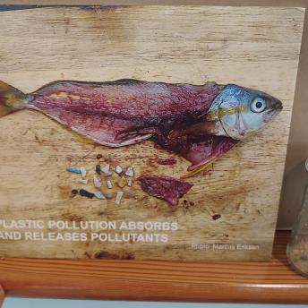 Plastic Pollution