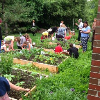 Garden Planting Day 2016