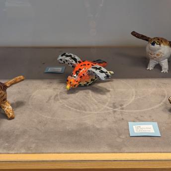 Student ceramics