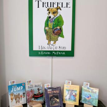David McPhail Book Display