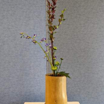 Lily Harris - Sanshuike Shoka