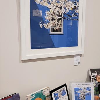 Display Table