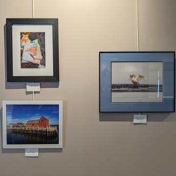 Photos by Dan Comly, Paul Roycroft, and John Sayre-Scibona