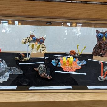 Splash art in display cases