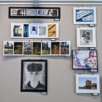 Splash art in the Levenson Room
