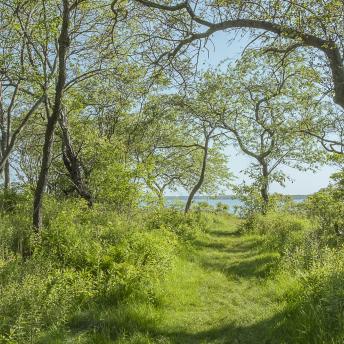 Photograph by Effie Malley