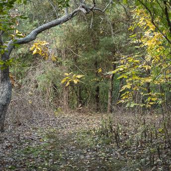 Photograph by Effie Malley