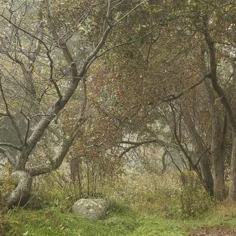 Photograph by Effie Malley