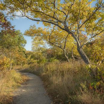 Photograph by Effie Malley