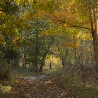 Photograph by Effie Malley