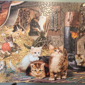 Kitten puzzle