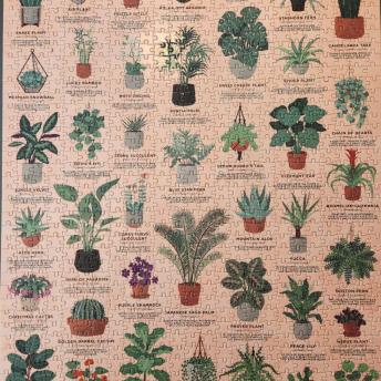 Plant puzzle