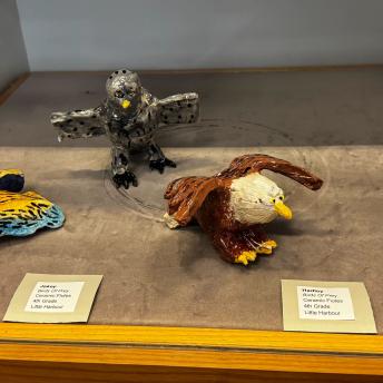 Splash art in display cases
