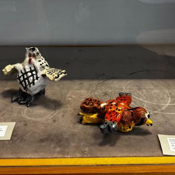 Splash art in display cases