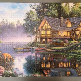Cabin puzzle