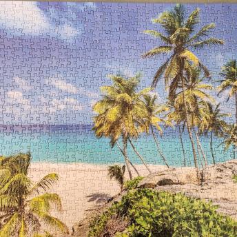 Palm Tree Puzzle