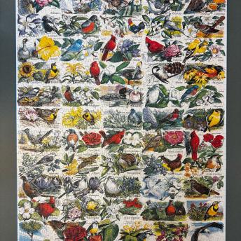 Birds Puzzle
