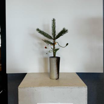 Meghan Harris - Tatehana