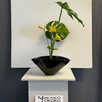 Mikako Tokoro - Shoka Shimputai