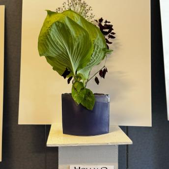 Holly Harris - Jiyuka