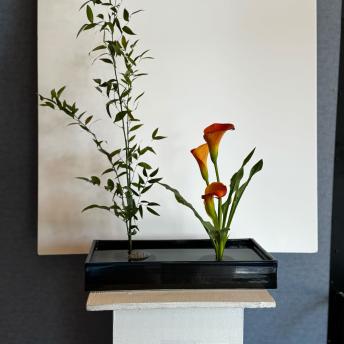 Jeanne LaFrance - Futakabuike