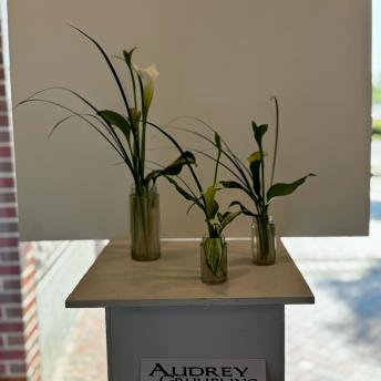 Audrey Grumbling - Jiyuka 