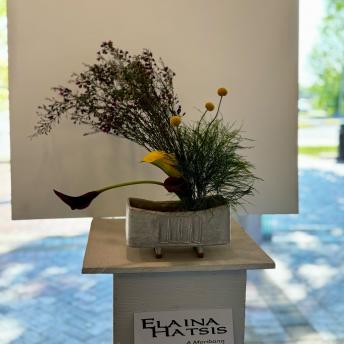 Elaina Hatsis - Moribana