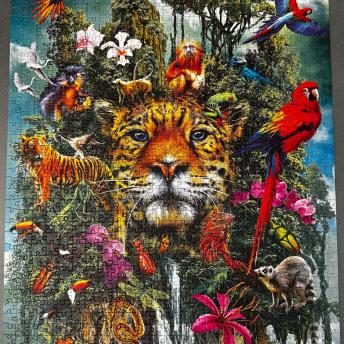 Jungle Puzzle