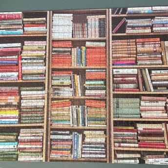 Book Shelf Puzzle